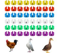 48 Anelli per Gambe Di Pollo, Multicolore Identificazione Del Pollo, Con Clip Nu