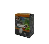 Lollo Caffè Capsule compatibili a Modo Mio Passione Solubili Cioccolato e Nocciola 48 capsule