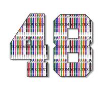 48 Pezzi Penna Personalizzata con Incisione Penne personalizzate con testo del logo Regali personalizzati per uomini donne Insegnante Boss Affari Compleanno Ufficio