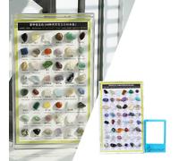 48 pezzi Rock and Mineral Collection Stelo Deluxe per ragazze principianti