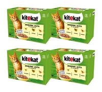 48 x 85 g KITEKAT cibo umido con pollo tacchino pollame in gelatina gatti adulti