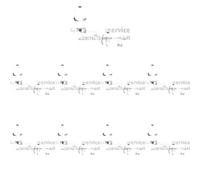 48 x Bicchiere punteria valvole KOLBENSCHMIDT per AUDI, SEAT, SKODA, VW