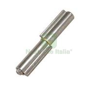 48PZ CERNIERE A DUE ALI PERNO SFILABILE ART.100 MM. 60X Ø 10: