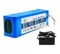 48V 100Ah 13S3P Batteria Agli Ioni Di Litio Per Bici Elettrica,Con Caricabatterie E Scheda Di Protezione BMS,Per Biciclette Elettriche Pieghevoli A Pianale Da 200W A 1500W(XT30+JST)
