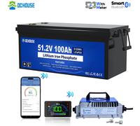 48V 100Ah Batteria carrello golf al litio Bluetooth LiFePO4 18A Caricabatterie