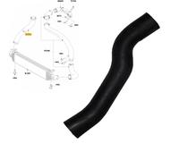 4925 Manicotto Turbo Intercooler Ford Focus II C-Max Volvo C30 V50 1.6 TDCi