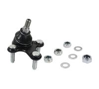 49398495 Snodo sosp. Dx. VW. Golf V TouranAUDI: A3 Corteco