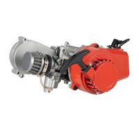 49Cc - Motore a benzina a 2 tempi, in alluminio, con riduttore, carburatore e filtro dell'aria per dirt quad, cross Pocketbike Atv Roller per bambini, mini dirtbike avviamento a due tempi, colore