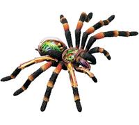 4D Vision Spider Anatomy Models - Removable 33 Parts Organs and Body Parts Medical Teaching Model - for Study Diaplay Teaching,Animal Anatomical Model