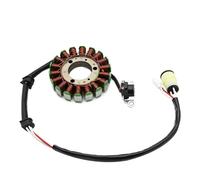 4D3-81410-00 Bobina Statore Bobina Statore Magnete Per Motocicletta Per YFM250 Per Raptor 250 Special Edition 2 2008-2009 Plug and play