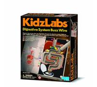 4M Sistema Digestivo per Bambini