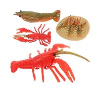 4Pezzi Ciclo Aragosta Figurine Educative per Giochi Sensoriali e Decorazioni per Stimolare e Cognizione