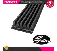 GATES 4PK1755 Cinghia servizi Cinghia Poly-V Cinghia alternatore Cinghia dei servizi