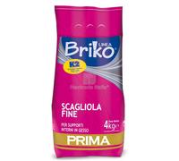 4PZ LINEA BRIKO SCAGLIOLA FINE PER RIPARAZIONI E STUCCATURA DA KG 4: