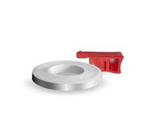 4R Quattroerre.it 10264 Wheel Stripe per Cerchi Moto e Applicatore, Cromo, 5 x 6 m