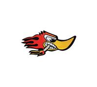 4R Quattroerre.it 14519 Toppe Patch Adesive Picchio per tessuti