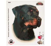 4R Quattroerre.it 8007 Adesivo Cane Rottweiler a Bordo Tabella Dimensioni 14 x 16 cm