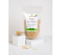 4x 500 g Pinoli Bio Grade A1 Buxtrade Naturali
