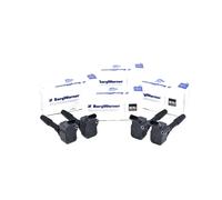 4x Beru Bobina ZSE137 per VW Audi Seat Skoda Porsche Lamborghini Bentley