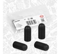 4X ELRING Vite Di Regolazione Pompa Iniezione VW SEAT AUDI 1,9 2,0 038109451B