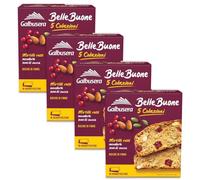 4X Galbusera BelleBuone 5 Colazioni Fette Spesse con Mirtilli Rossi, Mandorle e Semi di Zucca 200g