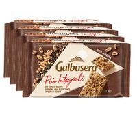 Galbusera Più Integrali Crackers 10x38gr