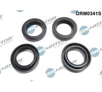 DR.MOTOR AUTOMOTIVE Kit anelli tenuta, Iniettore