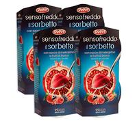 dolfin sensofreddo il sorbetto con succo di melograno e frutti di bosco 2 x 100 ml
