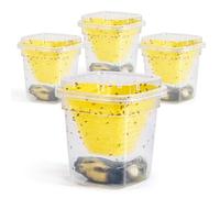 4X Trappole per moscerini della frutta, Trappola viva per moscerini della frutta, Trappola riutilizzabile per moscerini della frutta per cucina e interni, Trappola per moscerini