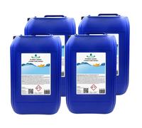 4x25 kg Correttore Rapido pH Meno Liquido acquaverde Riduttore pH Acqua Piscina