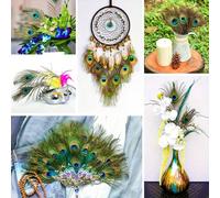 5/10/20/50 pezzi Piume decorative extra lunghe, vibranti arcobaleno blu e verde, piume di pavone finte realizzate a mano, utilizzate per matrimoni, decorazioni centrali, artigianato fai-da-te, Natale,