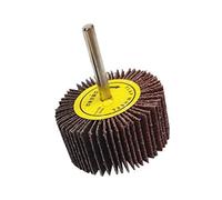 (5/10/20 pezzi) Set di levigatrici lamellari 30 mm x 15 mm, impugnatura 6 mm, per trapani, levigatrice a ventaglio, grana 40-120, a scelta, per metallo e legno (5, P100)