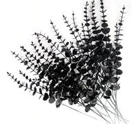 5/10/30/70 pezzi Steli di eucalipto nero artificiale, rami di eucalipto finti, steli di eucalipto finti per decorazioni di Ognissanti, feste in casa, composizioni floreali, stile country, fai da te, a