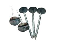 5/10 pezzi L-40/50/65/80/100 mm chiodi for tetti con testa a ombrello gambo a torsione chiodo in legno zincato for uso superiore a grande a vite(3.8x80mm 5pcs)