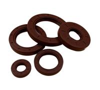 5 * 15 * 6 5x15x6 5 * 16 * 6 5x16x6 6 * 15 * 4 6x15x4 Guarnizione ad anello TC a 2 labbri in gomma FKM Guarnizione radiale for albero Scheletro Paraolio(4Piece 5x16x6)