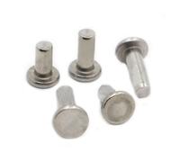 5-50 pezzi GB109 M2 M2.5 M3 M4 M5 M6 A2-70 304 in acciaio inossidabile a testa tonda piatta rivetti solidi rivetti a innesto autobloccanti bulloni chiodi(M6 5pcs,8mm)