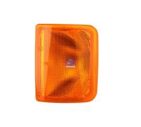 5.81140 Indicatore Arancione Adatto A per DAF , Iveco 66698 384988 9384988