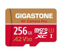 [5 Anni Recupero Dati Gratuito] 256 GB Scheda di Memoria Camera Pro Velocità