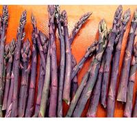® 5 asparagi crown, asparagi, purple passion 2 anno di radici Seeds ONLY