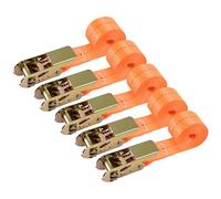 5 cinghie con cricchetto, 6 mm x 25 mm, cinghie di ancoraggio con cricchetto per auto, carrello, moto, bagagli, campeggio, trasporto, portata 800 kg, robuste e resistenti alle intemperie, Colore