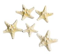 5 Conchiglie Decorative Forma di Stella Marina da 5-7,5 cm, per Artigianato, Decorazione a Tema Spiaggia, per Spiaggia Conchiglie Stelle Marine Artigianato per la Pittura, Acquario, Albero di Natale