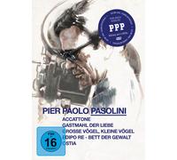 Pier Paolo Pasolini Collection