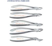 5 Estrazione Incisivi e canini superior Molari superiori destri Molari superiori