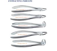 5 Estrazione Incisivi e canini superiori Molari superiori sinistri Premolari CE