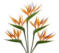 5 fiori artificiali uccello del paradiso 66 cm, piante verdi finte decorative con stelo di fiori finti per composizioni floreali, casa, giardino, ufficio, veranda, decorazione per matrimoni, arancione