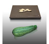 5 graines à semer - Le Grenier d'Abondance - COURGETTE Grisette de Provence - Curcubita Pepo