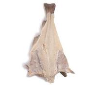 5 kg baccalà salinato ISLANDESE PRIMA QUALITA' 4AAA ALA DI BACCALA con spina