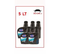 5 LT. TAMOIL Olio Motore Gas Sint Future GPL/METANO FAP 5W30 Acea C3
