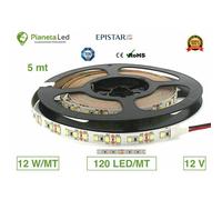 5 METRI STRISCIA 600 LED 2835 SMD 12 W/MT PER INTERNO IP20 12 V DC PREMIUM SERIE