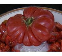 5 pacchetti di 25 Sementi Viola Calabash-pomodoro Seeds ONLY